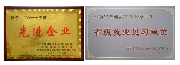 先进企业 / 省级就业见习单位